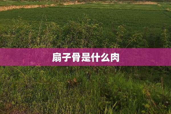 扇子骨是什么肉