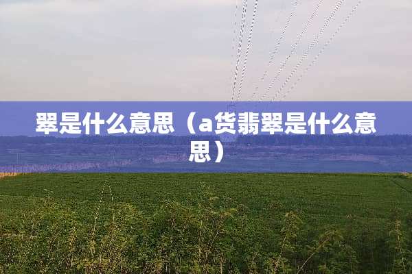 翠是什么意思（a货翡翠是什么意思）