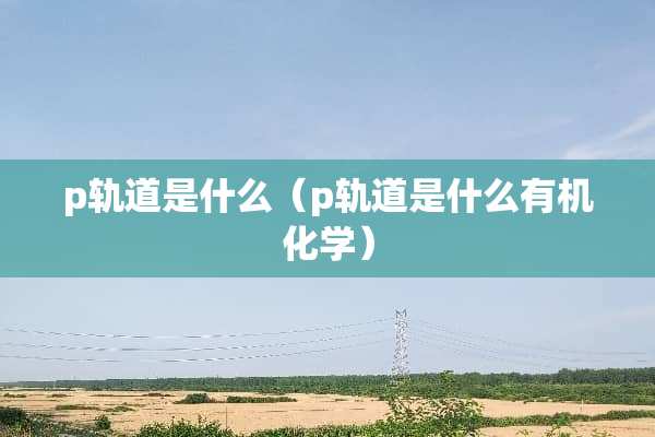 p轨道是什么（p轨道是什么有机化学）