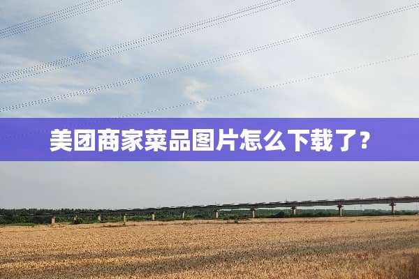 美团商家菜品图片怎么下载了？