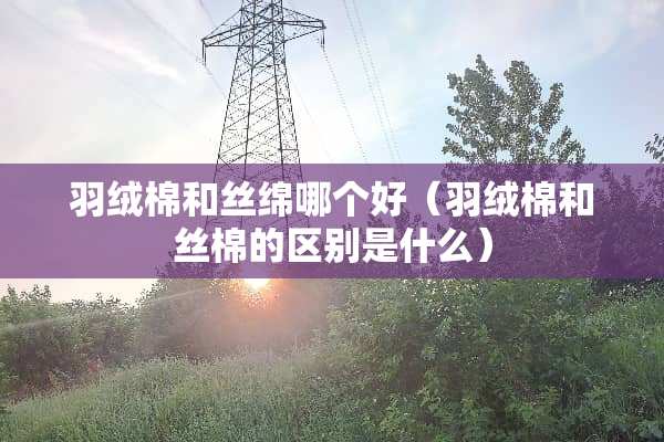 羽绒棉和丝绵哪个好（羽绒棉和丝棉的区别是什么）