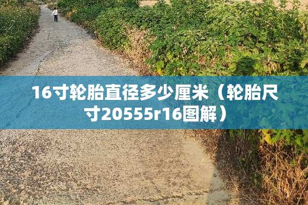 16寸轮胎直径多少厘米（轮胎尺寸20555r16图解）