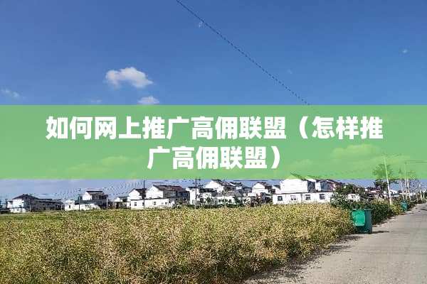 如何网上推广高佣联盟（怎样推广高佣联盟）