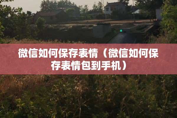 微信如何保存表情（微信如何保存表情包到手机）