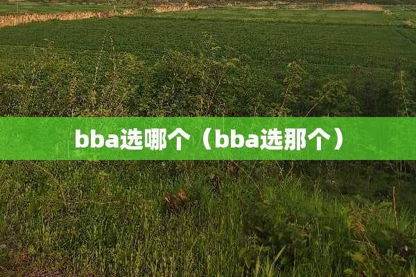 bba选哪个（bba选那个）