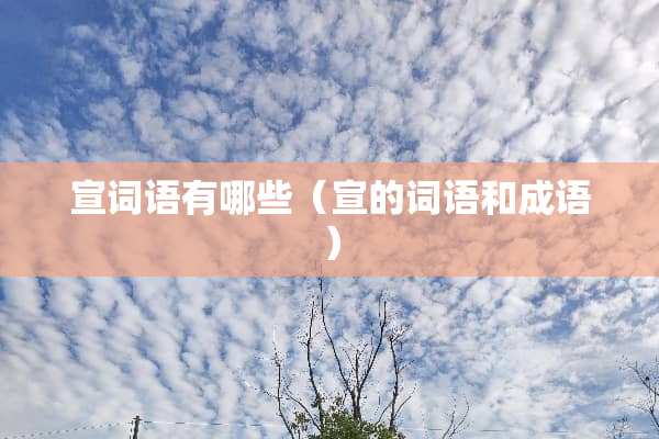 宣词语有哪些（宣的词语和成语）