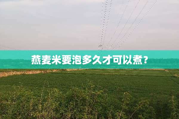 燕麦米要泡多久才可以煮？