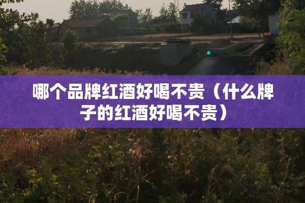 哪个品牌红酒好喝不贵（什么牌子的红酒好喝不贵）