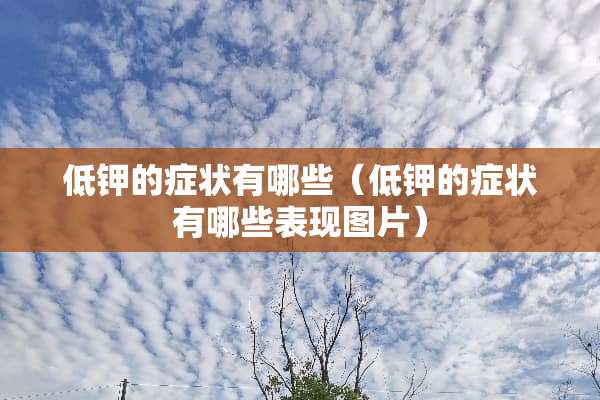 低钾的症状有哪些（低钾的症状有哪些表现图片）