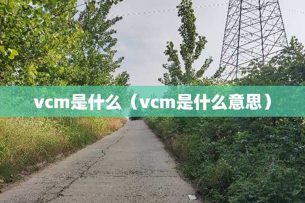 vcm是什么（vcm是什么意思）