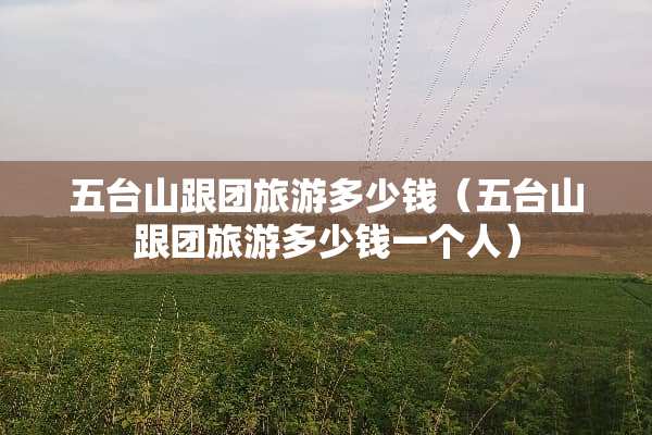 五台山跟团旅游多少钱（五台山跟团旅游多少钱一个人）