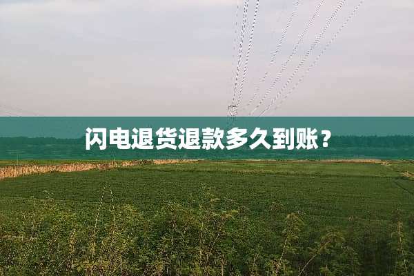 闪电退货退款多久到账？