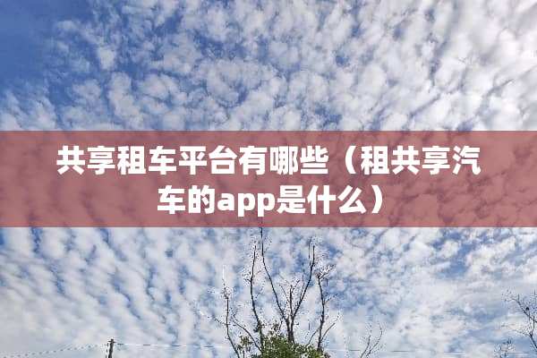共享租车平台有哪些（租共享汽车的app是什么）