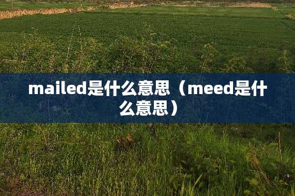 mailed是什么意思（meed是什么意思）