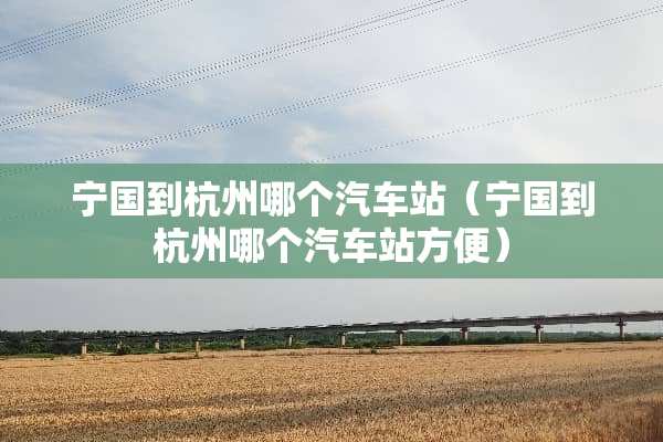 宁国到杭州哪个汽车站（宁国到杭州哪个汽车站方便）