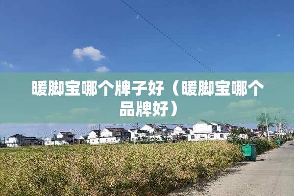 暖脚宝哪个牌子好（暖脚宝哪个品牌好）
