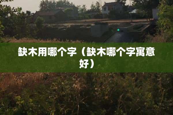 缺木用哪个字（缺木哪个字寓意好）