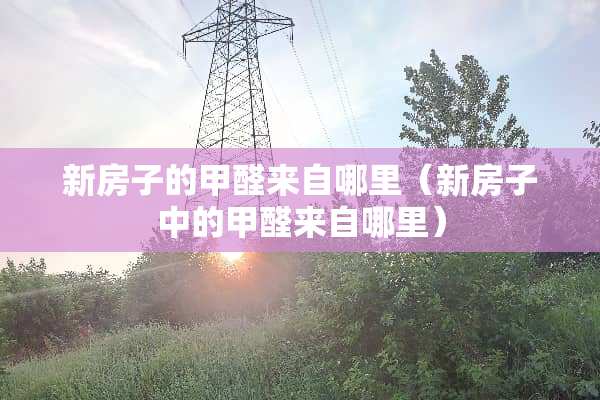 新房子的甲醛来自哪里（新房子中的甲醛来自哪里）