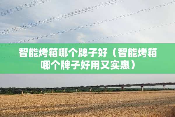 智能烤箱哪个牌子好（智能烤箱哪个牌子好用又实惠）