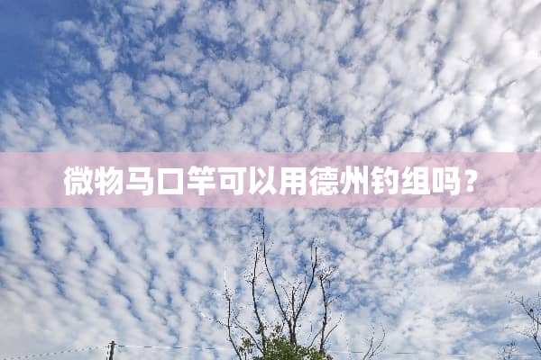微物马口竿可以用德州钓组吗？