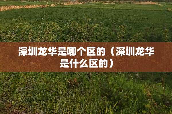 深圳龙华是哪个区的（深圳龙华是什么区的）