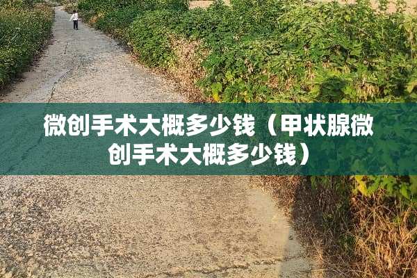 微创手术大概多少钱（甲状腺微创手术大概多少钱）