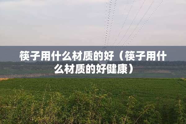 筷子用什么材质的好（筷子用什么材质的好健康）