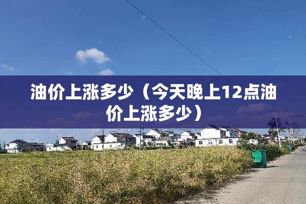 油价上涨多少（今天晚上12点油价上涨多少）