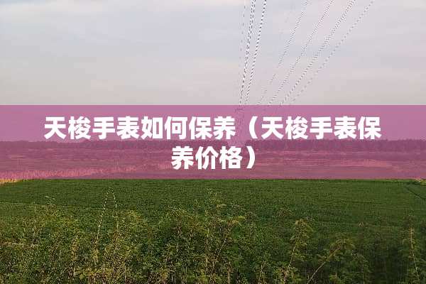 天梭手表如何保养（天梭手表保养价格）