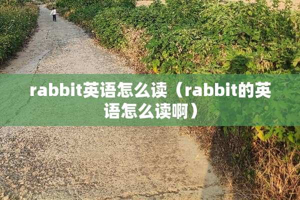 rabbit英语怎么读（rabbit的英语怎么读啊）