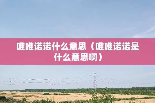 唯唯诺诺什么意思（唯唯诺诺是什么意思啊）