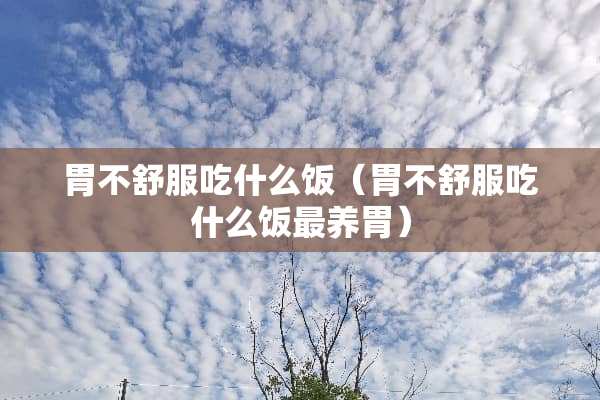 胃不舒服吃什么饭（胃不舒服吃什么饭最养胃）