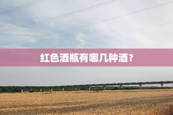 红色酒瓶有哪几种酒？