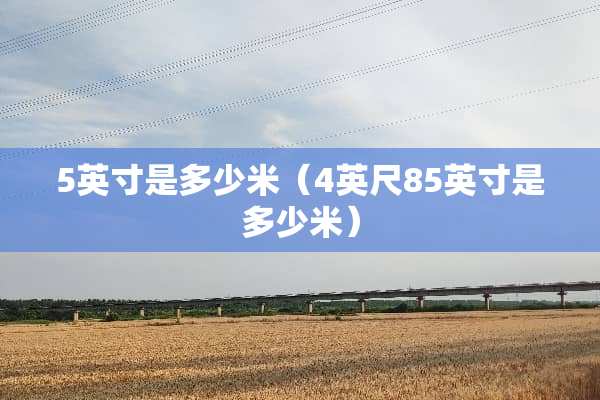 5英寸是多少米（4英尺85英寸是多少米）