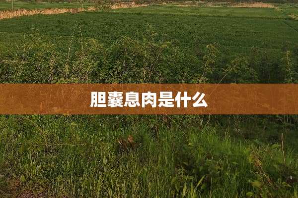 胆囊息肉是什么