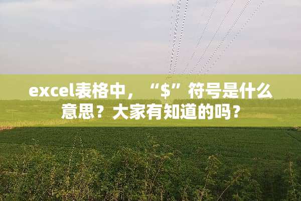 excel表格中，“$”符号是什么意思？大家有知道的吗？