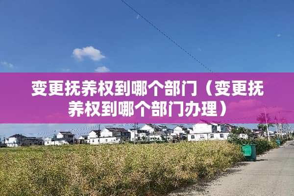 变更抚养权到哪个部门（变更抚养权到哪个部门办理）