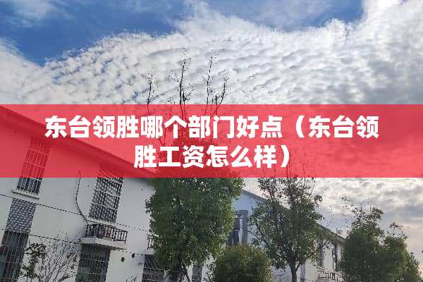 东台领胜哪个部门好点（东台领胜工资怎么样）
