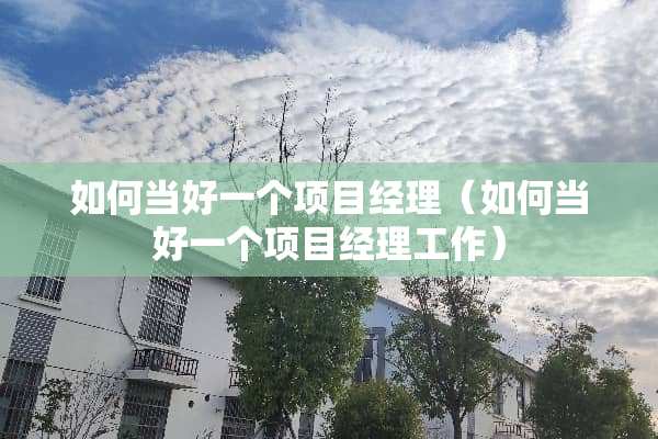 如何当好一个项目经理（如何当好一个项目经理工作）