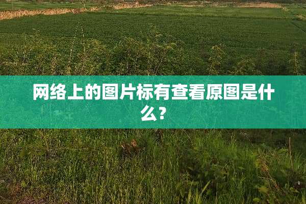 网络上的图片标有查看原图是什么？