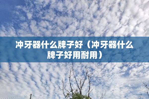 冲牙器什么牌子好（冲牙器什么牌子好用耐用）
