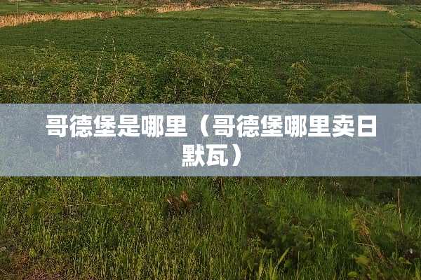 哥德堡是哪里（哥德堡哪里卖日默瓦）