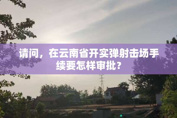 请问，在云南省开实弹射击场手续要怎样审批？