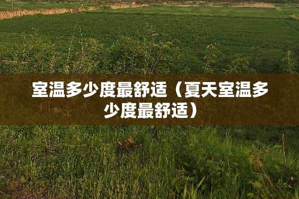 室温多少度最舒适（夏天室温多少度最舒适）