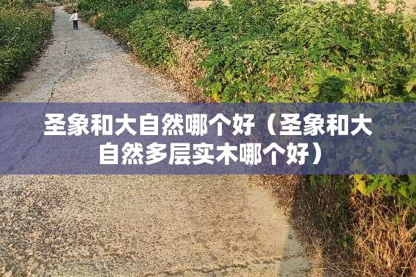 圣象和大自然哪个好（圣象和大自然多层实木哪个好）