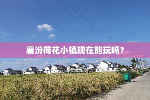襄汾荷花小镇现在能玩吗？