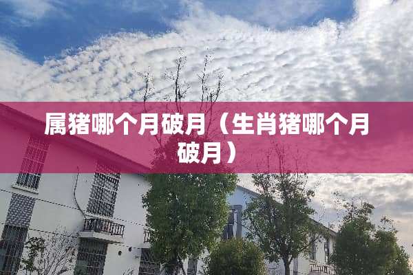 属猪哪个月破月（生肖猪哪个月破月）