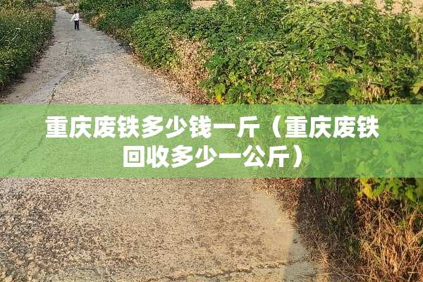 重庆废铁多少钱一斤（重庆废铁回收多少一公斤）