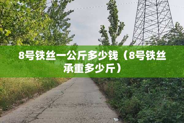 8号铁丝一公斤多少钱（8号铁丝承重多少斤）