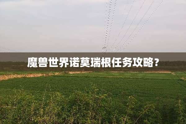 魔兽世界诺莫瑞根任务攻略？